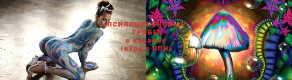 сатива Алексеевка