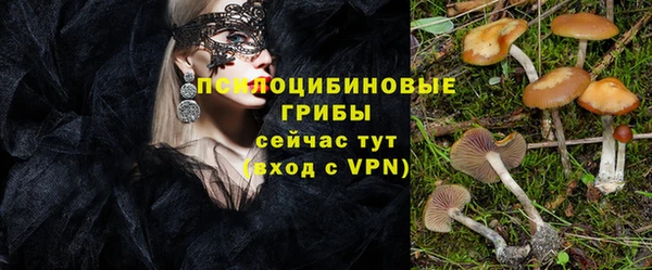 стафф Алексин