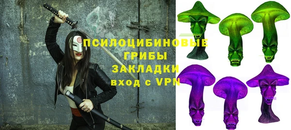 ПСИЛОЦИБИНОВЫЕ ГРИБЫ Армянск
