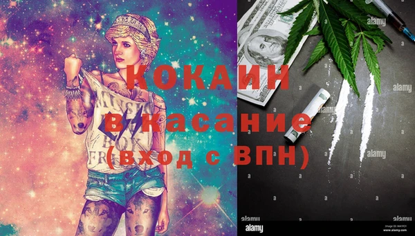 тгк Алзамай