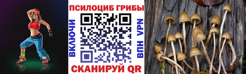 Галлюциногенные грибы мухоморы  Аша 